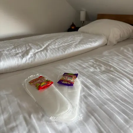 Zentrales, Modernes Mit Balkon, Kueche & Garage Appartement Dresden