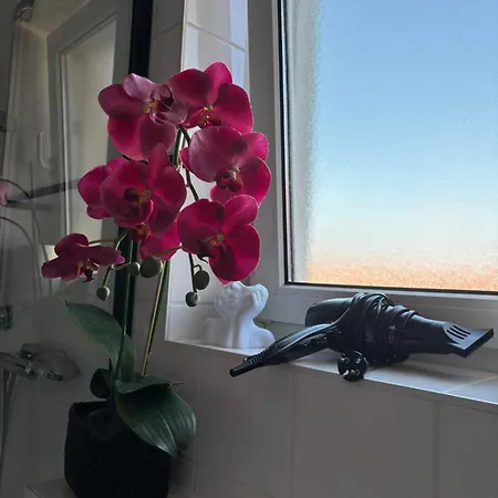 Apartament Zentrales, Modernes Mit Balkon, Kueche & Garage *